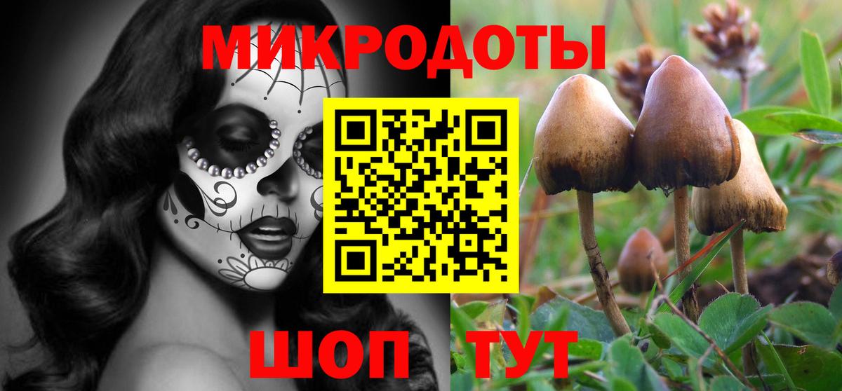 Галлюциногенные грибы Psilocybine cubensis  Вход с VPN  Псилоцибиновые грибы ЛСД  Ржев 